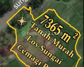 Tanah Murah Los Sungai Cemagi Bali