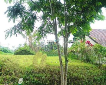 Tanah Kavling di Kawasan Villa Panderman Hill Sisir, Batu