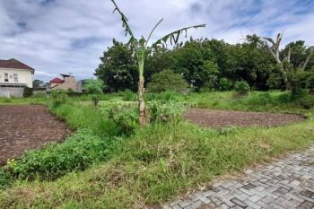 Tanah Pandanaran Yogyakarta Dekat Kampus UII Yogya Siap Bangun