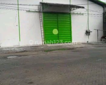 Gudang Margomulyo Angtropolis Surabaya Barat Murah DAV.YA2602