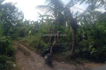 Tanah lingkungan villa Sukowati kemenuh Gianyar Bali