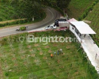 TANAH KEBUN APEL VIEW BAGUS LT 1 HEKTAR M2 DI BATU JUNGGO, JL RAYA SUMBER KEC