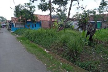 4 Menit dari UNIKAL, Cocok Dibuat Kost-Kostan, Tanah Murah Pekalongan