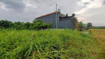 Dijual Lahan Premium Di Goa Gajah Ubud View sawah