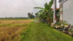 thumbnail-dijual-lahan-premium-di-goa-gajah-ubud-view-sawah-4