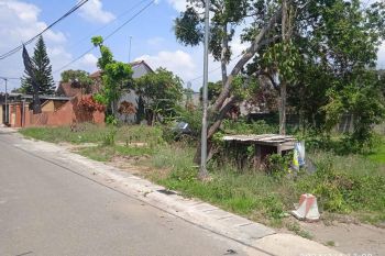 Dijual tanah murah di gedog Sanan wetan Blitar