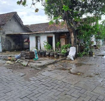 TANAH DI SAMIRONO DEKAT KAMPUS UNY DAN UGM COCOK UNTUK INVESTASI