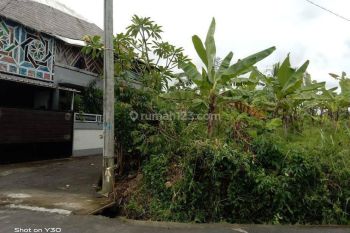 Tanah:1160 M2(11,6 are ) super langka siap Bangun Di jln utama Tumbak Bayuh Bali