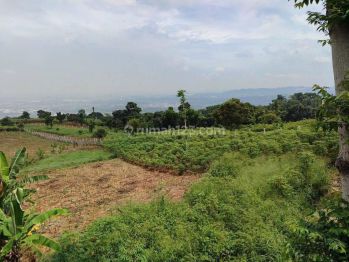 Tanah di jual Hambalang sentul bogor SHM