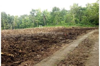 Cocok Investasi Dekat Exit Tol Jogja, 100 Jt An