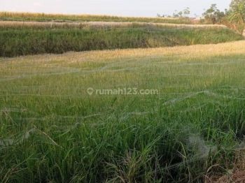 Tanah Luas Besar Dijual di Jatimulyo Lowokwaru Malang Gmk01519