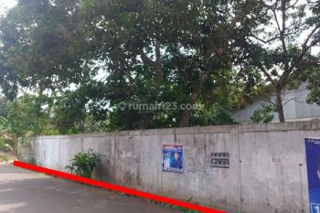 Dijual Cepat Tanah di Palasari di Palasari, Kp.Pasirgaok- Curug , Legok