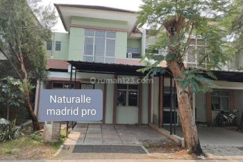 Rumah Dua Lantai Bsd Di Cluster