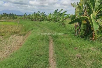 Tanah dijual luas 400m2 dekat pantai Pasut Tabanan