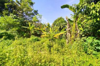 Dijual Tanah Hanya 300jutaan di Karanganom