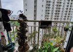 thumbnail-jarang-ada-jual-apartemen-mediterania-2-unfurnished-1-bedroom-4