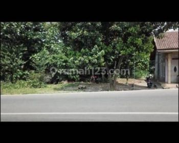 Dijual Tanah Kavling Di Rangkasbitung