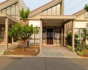 Podomoro River View Cluster Juniper