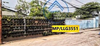 Gang Semut 
Kelurahan Kapuk, 
Kecamatan Cengkareng, Kota Jakarta Barat,