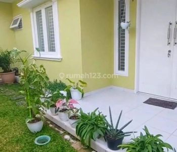 Rumah Asri, Bersih, Bagus. Pusat Jakarta