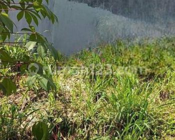 Tanah Strategis Kebun Raya Residene Bogor