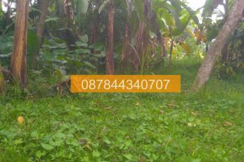 Jual Tanah 400m2 Tetebatu Lombok Timur Lombok A9F989