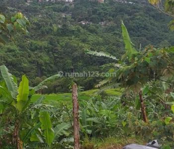 Tanah rata untuk villa+rumah view lepas strategis nempel sungai