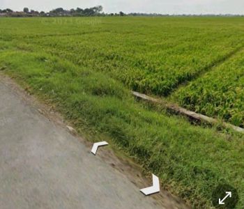 Tanah sawah kawasan BIJB Kertajati
