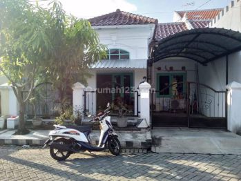 Disewa Rumah di Wiguna Timur Regency Dekat Gunung Anyar, Medokan Asri, Medokan