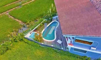 Villa view Sawah Berawa Canggu Bali