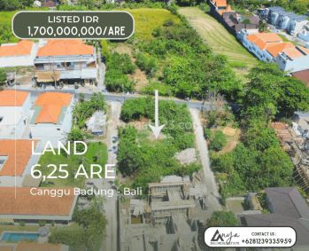 Dijual Tanah Hak Milik Seluas 6,25 Are Dekat Pantai Pererenan di Sempol Canggu