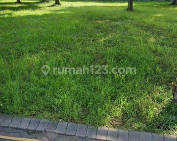 Raya International Village