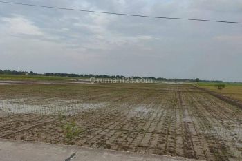Dijual Tanah 6 Ha di Cikarang Utara SHM Lebar Muka 50 Meter