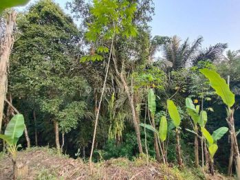 Tanah di Ubud View sungai lembah dan jungle