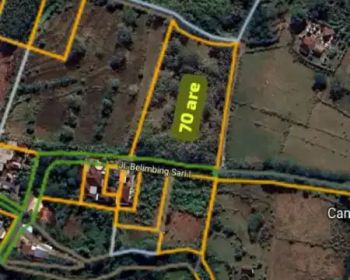 70 are dijual area ungasan Bali