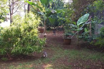 Tanah Kavling Siap Bangun di Sektor 5 Bintaro Jaya