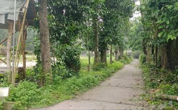 TANAH PEKARANGAN JOGONALAN LUAS 1980M DEKAT EXIT TOL MANISRENGGO