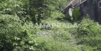 Buc Jual Cepat Tanah Ungasan 156m2 Dalam Perumahan Cocok Untuk Villa Rumah