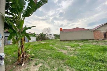 Tanah 5 tumbuk jual murah saja