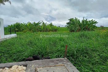Dijual Tanah View Sawah di Padonan Tibubeneng Canggu