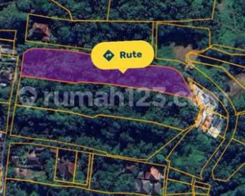 Hot List Di Jual Tanah Lokasi Kedewatan Ubud Gianyar