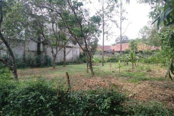 Tanah Kaveling Asri di Bulak Saga Gunung Sindur Bogor, Hanya 1 Juta-an/m.