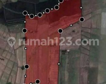Dijual Lahan Zona Merahlokasi Kebakkramat Luas 1.1 Hektare