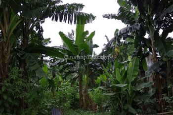 Tanah Dijual di Pangkalan Jati Cinere Depok