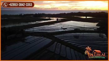 Potensial, Lahan 42 are Lokasi Area Pantai Beraban