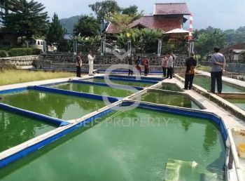 DIJUAL VILLA ASRI TERAWAT DI SUBANG JAWA BARAT