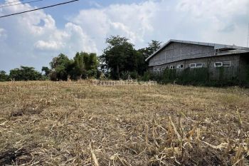 Tanah di Sengonagung Purwosari, Pasuruan SHM 5.900 m²