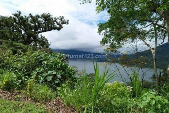 Tanah 23,25 Are Wanagiri Pinggir Jalan View Danau Buleleng Bali