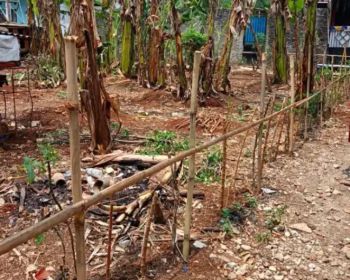 JUAL TANAH MURAH DI PEMDA PERTIGAAN BAMBU KUNING BOJONGGEDE BOGOR