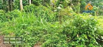 Jual Cepat Tanah di Tajinan Kota Malang